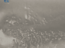 tpu膜 TPU防水透濕膜 本色中高透 tpu膜卷材 型號：ZC-ZGD-0.025