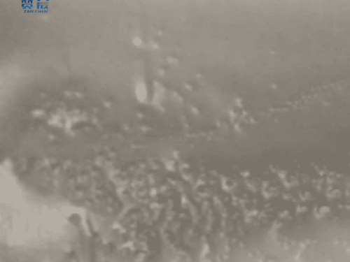 tpu膜 TPU防水透濕膜 本色中高透 tpu膜卷材 型號：ZC-ZGD-0.025